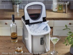 How to Clean Euhomy Ice Maker || Full Guide